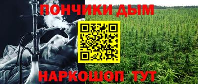 PSILOCYBIN Донецк