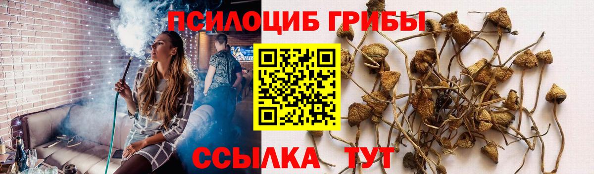 Гатчина  Псилоцибиновые грибы ЛСД  Вход с VPN 