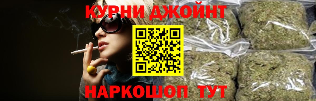 Конопля план Гатчина